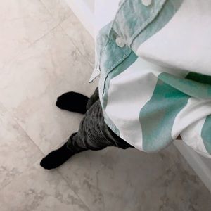 Meet your Posher, Joey